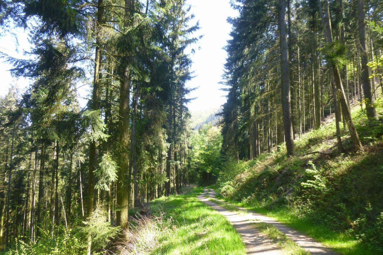 Appartement Moselschiefer Neu Ab Mai 2023 à Traben-Trarbach Extérieur photo
